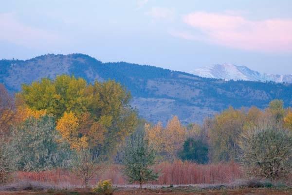 Fall-Morning.jpg