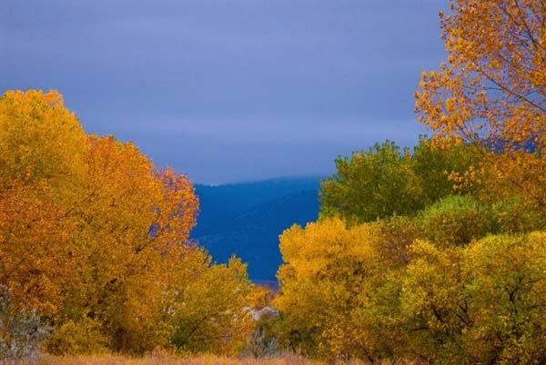 Lakewood-Autumn.jpg