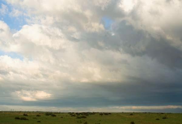 The-Morning-After-the-Storm.jpg