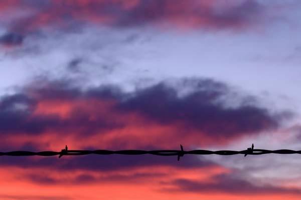 Barbed-Wire-Sunrise.jpg