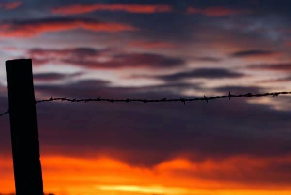 Barbed-Wire-and-Post-Sunrise.jpg
