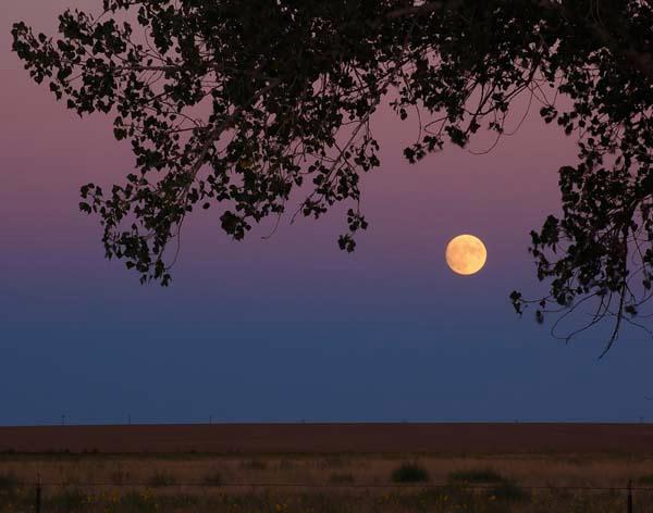 Full-Moon-in-Strasburg.jpg