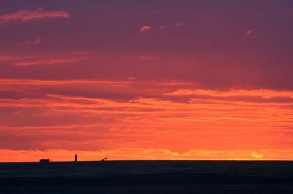 Sunrise-on-the-Farm2.jpg
