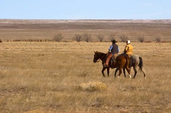 Two-Cowboys.jpg