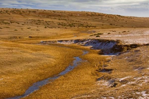 Winter-Streambed.jpg