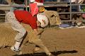 Mutton_Busting_Red_Shirt